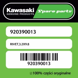 RIVET,3.2X9.8 Premium
